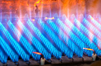 Wern Tarw gas fired boilers